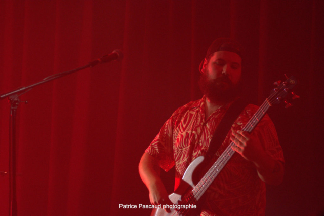 Photo Bassiste Concert Groupe Crazy Dolls and the Bollocks - Les Loges Virelartdaise - Virelade