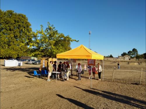 2026_09_11 Musica Vir'Live 2026 Virelade (12)