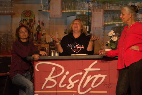 Festival Aux 1eres Loges 2024 Les Loges Virelartdaise Virelade Breves de Comptoir (26)