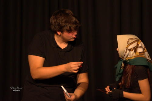 Festival Aux 1eres Loges 2024 Les Loges Virelartdaise Virelade Voyage en Absurdie (19)