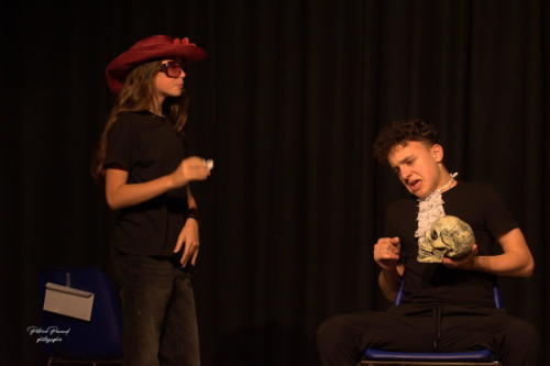 Festival Aux 1eres Loges 2024 Les Loges Virelartdaise Virelade Voyage en Absurdie (24)