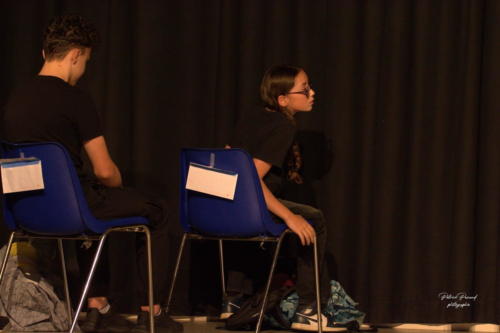 Festival Aux 1eres Loges 2024 Les Loges Virelartdaise Virelade Voyage en Absurdie (6)