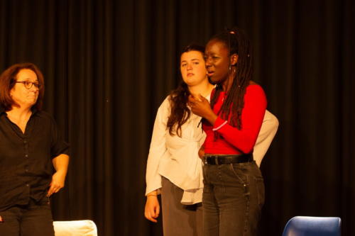 Festival Aux 1eres Loges 2025 Les Loges Virelartdaise Virelade A la Folie (36)