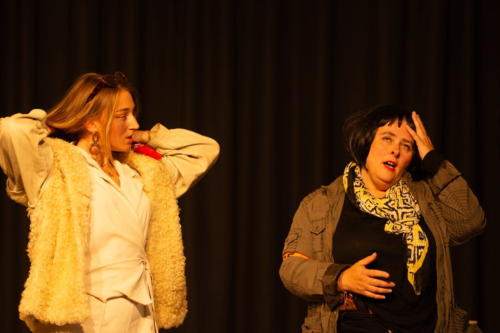 Festival Aux 1eres Loges 2025 Les Loges Virelartdaise Virelade A la Folie (8)