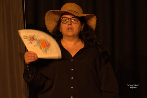 Aux 1eres Loges Les Loges Virelartdaise Virelade En plein festival (7)