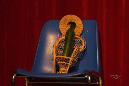 Festival Aux 1eres Loges 2024 Les Loges Virelartdaise Virelade Virginie toujours celibataire (17)