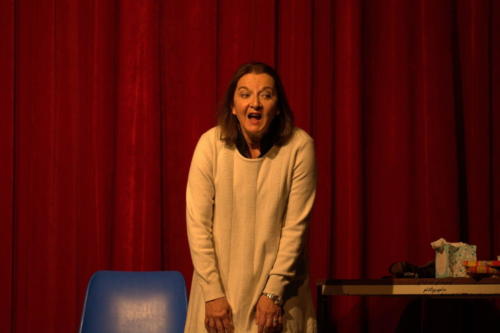 Festival Aux 1eres Loges 2024 Les Loges Virelartdaise Virelade Virginie toujours celibataire (5)