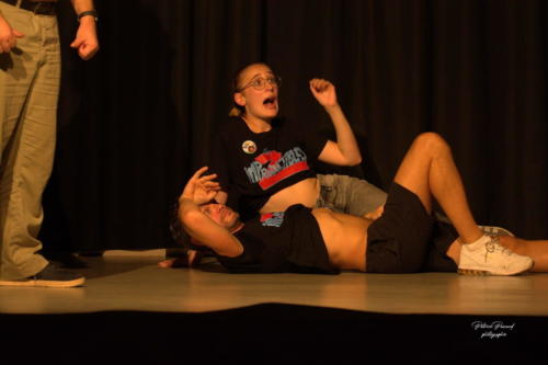 Aux-1eres-Loges-Les-Loges-Virelart-daise-Le-plus-grand-Cabaret-du-Monde-de-Virelade (19)