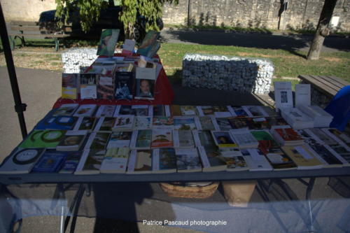 Festival Aux 1eres Loges 2023 Les Loges Virelartdaise Stands et Benevoles (4)