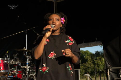 Scene Ouverte Gironde 2024 Virelade Festival Musica VirLive Les Loges Virelartdaise (7)