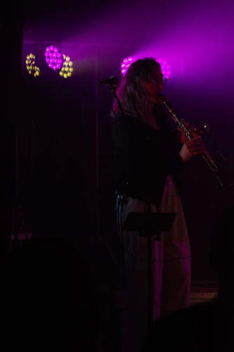 Scenes ete 2025 Virelade Les Loges Virelart'daise concert Jeko (22)