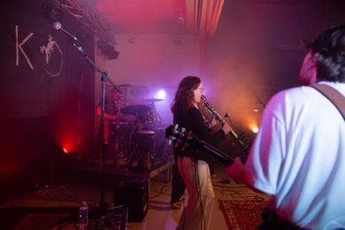 Scenes ete 2025 Virelade Les Loges Virelart'daise concert Jeko (51)