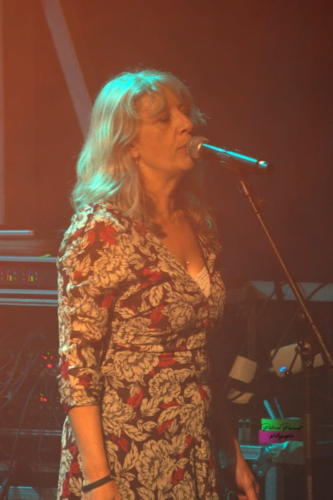 Ska Ka Fe Festival Musica VirLive Virelade Les Loges Virelartdaise (24)