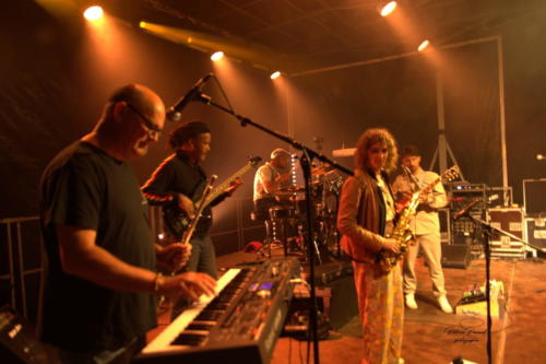 Ska Ka Fe Festival Musica VirLive Virelade Les Loges Virelartdaise (6)