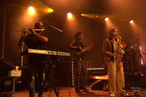 Ska Ka Fe Festival Musica VirLive Virelade Les Loges Virelartdaise (7)