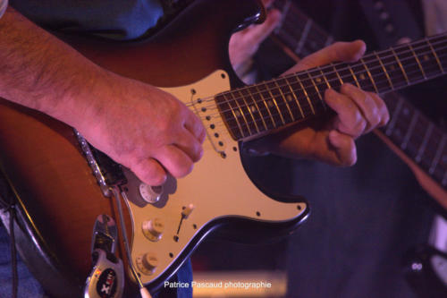 concert-rosegang-leslogesvirelartdaise-virealde-16