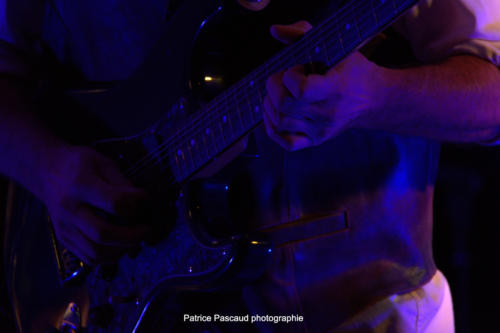 concert-rosegang-leslogesvirelartdaise-virealde-8