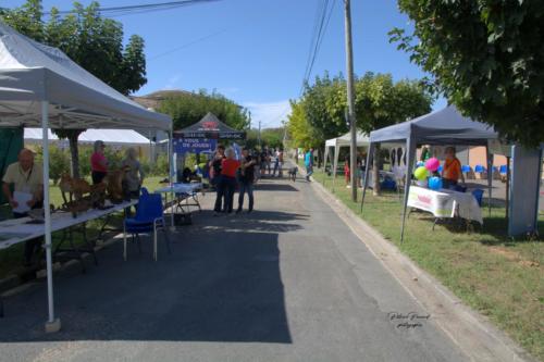 Forum des associations - Journée Scènes d'été à Virelade - Photo 1 - Les Loges Virelartdaise