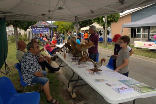 Forum des associations - Journée Scènes d'été à Virelade - Photo 7 - Les Loges Virelartdaise