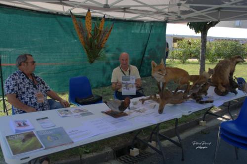 Forum des associations - Virelade - Société de Chasse - Les Loges Virelartdaise - Photo 2