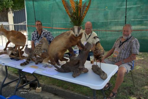 Forum des associations - Virelade - Société de Chasse - Les Loges Virelartdaise - Photo 3