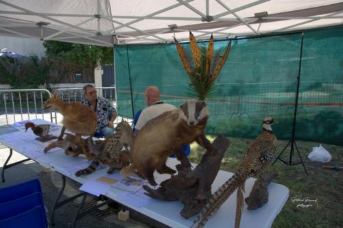 Forum des associations - Virelade - Société de Chasse - Les Loges Virelartdaise