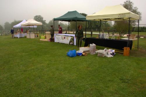 Installation des exposants - Rencontre de l'Artisanat d'Art - Les Loges Virelart'daise