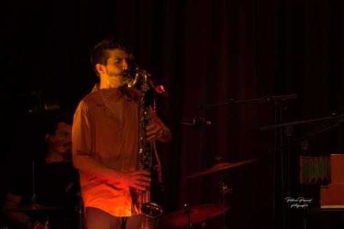 Scènes d'été en Gironde - Virelade - Kaligramme - Les Loges Virelartdaise