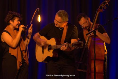 Scènes d'été en Gironde - Virelade - Kaligramme - Les Loges Virelartdaise - Photo 30