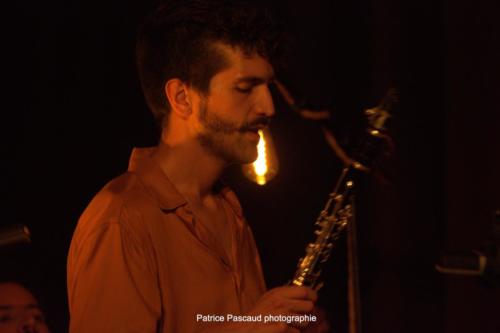 Scènes d'été en Gironde - Virelade - Kaligramme - Les Loges Virelartdaise - Photo 34