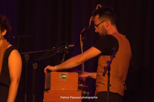 Scènes d'été en Gironde - Virelade - Kaligramme - Les Loges Virelartdaise - Photo 45