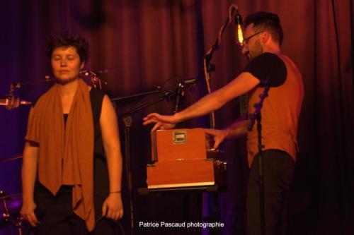 Scènes d'été en Gironde - Virelade - Kaligramme - Les Loges Virelartdaise - Photo 44