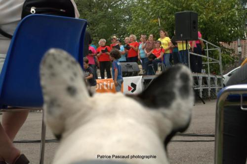 Concert de la chorale à l'Unichoeur - Virelade - Les Loges Virelartdaise - Photo 6