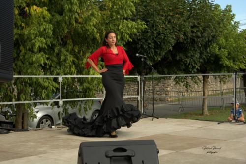 Démonstration de danses sévillanes - Avirbol - Virelade - Les Loges Virelartdaise - Photo 18
