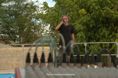 Scène ouverte Fred - Virelade - Les Loges Virelartdaise - Photo 8