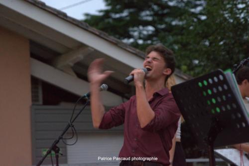 Scène ouverte Joy- Virelade - Les Loges Virelartdaise - Photo 12